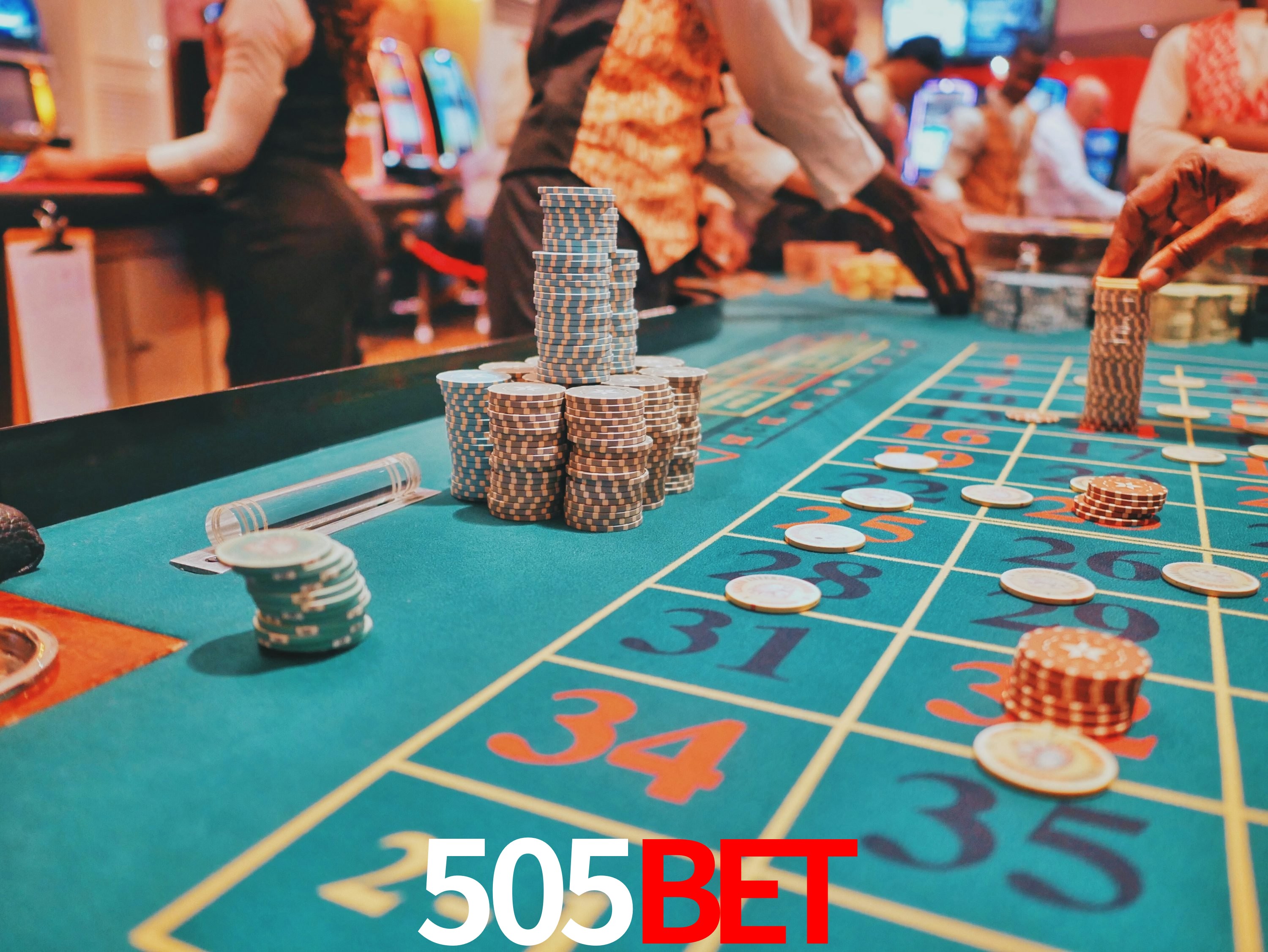 Sports Statistics 505bet